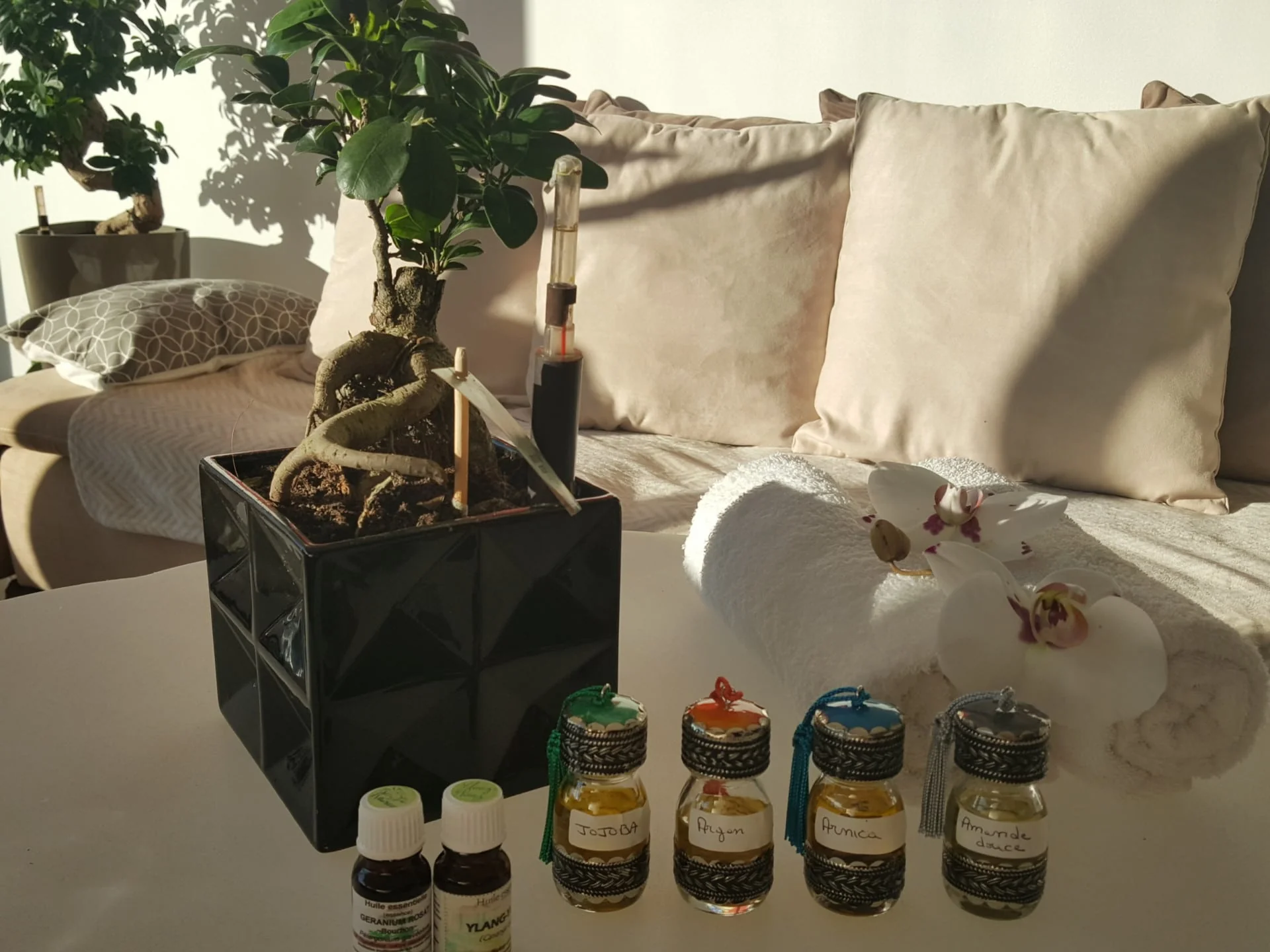 Décupler les bienfaits du massage grâce aux huiles essentielles