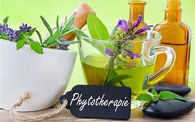 Phytothérapie et aromathérapie : un nouveau regard sur les compléments alimentaires