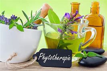 Phytothérapie et aromathérapie : un nouveau regard sur les compléments alimentaires